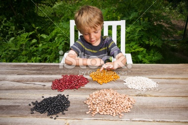 stock-photo-16935252-little-boy-counting-beans